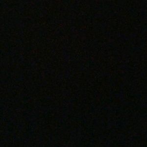 Meet your Posher, Jacqueline